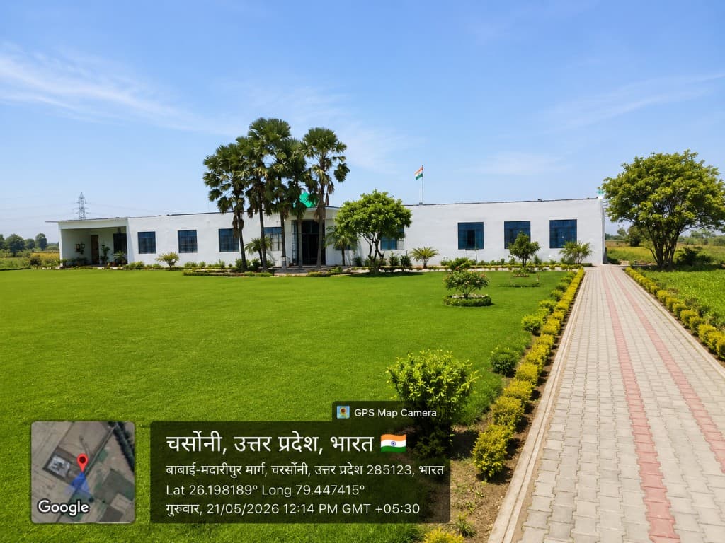 Our Courses